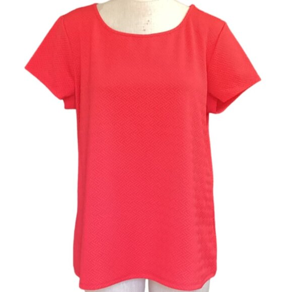 Bundle of 2 Jaclyn Smith Short Sleeve Knit Tops 2XL Blue & Red NWT #169H - Picture 3 of 11